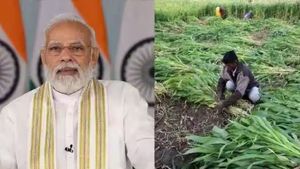  PM கிசான் திட்டத்தின் 19-வது தவணை எப்போது.. வந்தாச்சு செய்தி.. விவசாயிகளுக்கு குஷி தான்!