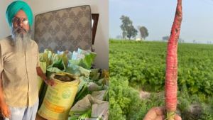  4.5 ஏக்கர் நிலத்தில் ஆரம்பித்த பயணம்.. தற்போது 80 ஏக்கரில்.. 1 கோடி சம்பாதித்து அசத்தும் விவசாயி!