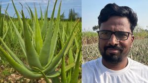  ஓ Aloe Vera வச்சு இப்படி ஒரு பிசினஸ் இருக்கா? கோடிகளில் சம்பாதிக்கும் விவசாயி! வாவ்!