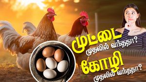  முதலில் கோழி வந்ததா? முட்டை வந்ததா? கேள்விக்கு முற்றுப்புள்ளி வைத்த ஆராய்ச்சியாளர்கள்!