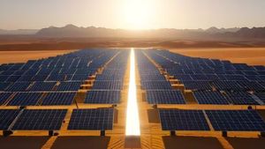  NTPC Green Energy IPO-வில் முதலீடு செய்தீர்களா? இன்று பங்குகள் ஒதுக்கீடு.. எப்படி செக் பண்ணுவது?