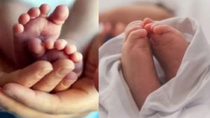 தமிழ்நாட்டில் குறைந்து வரும் குழந்தை பிறப்பு விகிதம்.. ஒரே ஆண்டில் இவ்வளவு சரிவா?