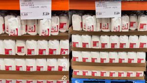 அமெரிக்காவில் மாஸ் காட்டும் அமுல்.. COSTCO-வில் இறங்கிட்டாங்க..!!