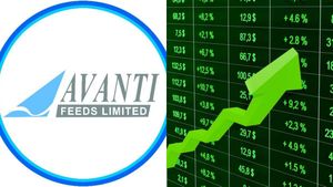 ரூ.1 லட்சம் டூ ரூ.5.46 கோடி... மீண்டும் புதிய உச்சத்தை தொட்ட அவந்தி ஃபீட்ஸ்..