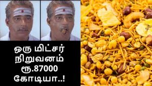 ஒரு மிட்சர் நிறுவனம் ரூ.87000 கோடியா.. Haldiram-க்கு ஜாக்பாட்.. நினைத்து நடந்துவிட்டது..!