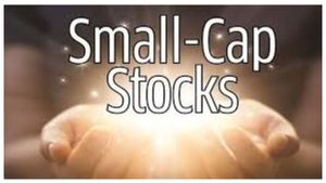 எஃப்ஐஐ மற்றும் மியூச்சுவல் பண்டுகள் போட்டி போட்டு வாங்கிய 13 பங்குகள்.. உங்ககிட்ட இருக்கா..?