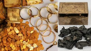 தங்க புதையல் கண்டெடுப்பு.. 100 ஆண்டுகளுப்பின் வெளிவந்த ரூ.3 கோடி மதிப்பில் 598 தங்க காயின்கள்.!!