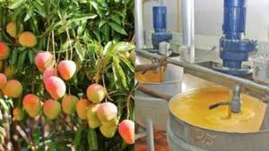 ஈரான் – இஸ்ரேல் மோதலால் தமிழ்நாடு விவசாயிகளுக்கு வந்த புதிய பிரச்சினை!!