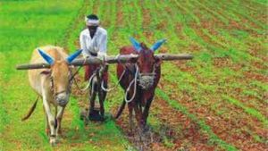 1.7 கோடி விவசாயிகளுக்காக மத்திய அரசு கொண்டு வந்துள்ள சிறப்பு திட்டம்!!