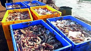 தூத்துக்குடி துறைமுகத்தில் சோகம்.. அமெரிக்க வரியால் ரூ.100 கோடி மதிப்பிலான கடல் உணவுகள் வேஸ்ட்.!!