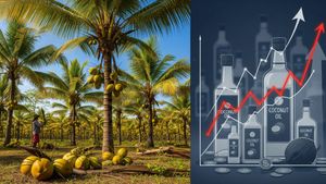 Liquid Gold ஆக மாறிய தேங்காய் எண்ணெய்..! ஒரே ஆண்டில் 3 மடங்கு விலை உயர்வு..!