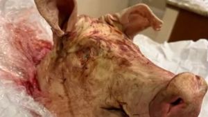 அமெரிக்க CEO-வுக்கு பன்றி தலையை பார்சலில் அனுப்பிய மர்ம நபர்.. எல்லாத்துக்கும் காரணம் இந்த AI தான்.!