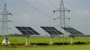 கனரா வங்கியுடன் ஒப்பந்தம்.. அதிரடியாக உயரும் பென்னி ஸ்டார்க்..!