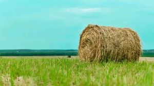 ரூ.1 கோடி நில விற்பனைக்கு ரூ.2.45 லட்சம் மட்டுமே வருமானம் காட்டிய நபர்.. இறுதியில் நடந்த ட்விஸ்ட்.!!