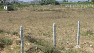 சொந்த நிலம் இருக்கிறதா? பட்டா, சிட்டா இல்லாவிட்டால் என்ன ஆகும்? இதை அவசியம் தெரிஞ்சுக்கோங்க.!!