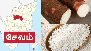 மொத்த இந்தியாவும் சேலத்தை நம்பியிருக்கு.. நவராத்திரி-யில் கெத்து காட்டும் சேலம் ஜவ்வரிசி..!