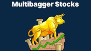 வெளிநாட்டு முதலீட்டாளர்கள் முதலீட்டை குவித்துள்ள மல்டிபேக்கர் பங்குகள்!! சின்ன கல்லு பெத்த லாபம்!!