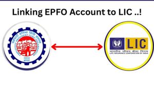 PF கணக்குடன் LIC பாலிசியை இணைத்தால் இவ்வளவு நன்மைகளா? எப்படி இணைப்பது? விரிவான வழிகாட்டி!!