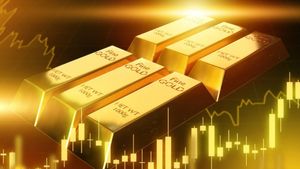 மீண்டும் விலையேறிய தங்கம்.. ஆட்டத்தை தொடங்கியது.. இன்றைய சவரன் ரூ.92,000 ஐ தாண்டியது.!