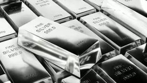 ஒரு கிலோ வெள்ளி ரூ.1,33,000 வரை சரிய வாய்ப்பு.. SAMCO நிபுணர் எச்சரிக்கை.!