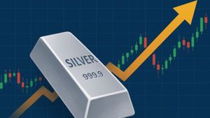 3 மாதங்களில் நடந்த மேஜிக்.. வெள்ளியில் ரூ.1,000 கோடி லாபம்.. ஹிந்துஸ்தான் நிறுவனத்திற்கு ஜாக்பாட்..!