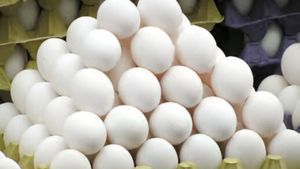 தாறுமாறாக உயரும் முட்டை விலை!! ஆம்லேட்டுக்கு ஆப்பா?  முட்டை விலையை நிர்ணயம் செய்வது யார்?