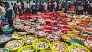 டிரம்பின் 50% வரி விதிப்பை வென்ற இந்திய ஏற்றுமதித் துறை.. புதிய உத்தியை கையிலெடுத்த மத்திய அரசு..!!