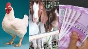 ரூ.50 லட்சம் வரை மானியம்! மத்திய அரசின் சூப்பர் திட்டம்!கிராமத்தில் இருந்தே கோடீஸ்வரர் ஆக வாய்ப்பு?