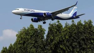 புதின் பாணியில் நடவடிக்கை தேவை.. இண்டிகோ விவகாரத்தால் கொதித்த மக்கள்.. வைரலாகும் வீடியோ..!!