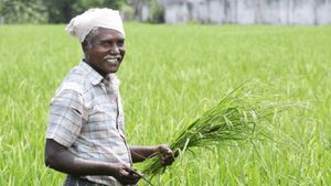 பட்ஜெட் 2026 : விவசாயிகளுக்கான நிதியுதவி ரூ.6000இல் இருந்து ரூ.10,000ஆக உயர்த்தப்படுகிறதா?