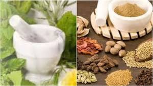 பட்ஜெட்2026: உங்க ஊருக்கே வருது மெடிக்கல் ஹப்! ஆயுர்வேதமும் நவீன மருத்துவமும் கைகோர்க்கும்புதிய புரட்சி!