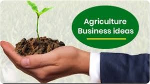 வீட்டிலிருந்தே பிசினஸ்.. கைநிறைய சம்பாத்தியம்!மாதம் லட்சங்களில் வருமானம் ஈட்டக்கூடிய சூப்பர் ஐடியா!