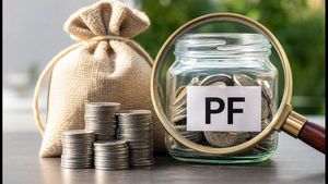 EPFO இணையதளம் மீண்டும் இயக்கம்: உங்கள் பிஎஃப் கணக்கில் 8.25% வட்டி வரவு வைக்கப்பட்டுள்ளதா? உடனே சரிபார்க்கவும்!