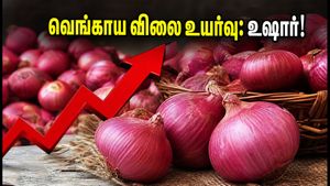 வெங்காய விலை அதிரடி உயர்வு: இல்லத்தரசிகளே உஷார்! பட்ஜெட்டை சமாளிக்க இதோ சில டிப்ஸ்
