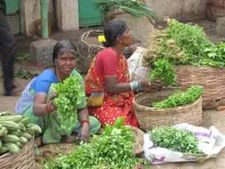 ప్రస్తుత ఆర్దిక సంవత్సరంలో జీడీపీ 5 శాతం మించకపోవచ్చు: సిఎస్‌వో