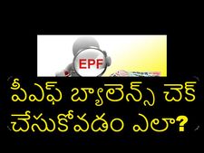  ఈపీఎఫ్ బ్యాలెన్స్‌ను చెక్ చేసుకోవ‌డం ఎలా? 