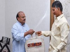 ఆంధ్ర రైతులకి బాబు బడ్జెట్ !