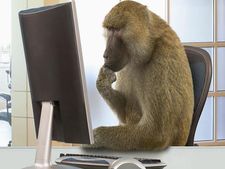 స్టాక్ మార్కెట్ లోకి  వెళ్లే వారి కోసం ఒక కోతి కథ !