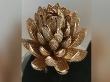 ఈ ఉంగరం చూసారా దింట్లో 6690 వజ్రాలు..  గిన్నిస్ రికార్డు