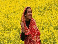 చిన్న పరిశ్రమలకు లోన్ ఎందుకు రావో తెలుసా? చూడండి మిస్సవకండి. 