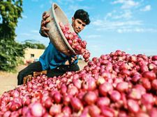 ఉల్లిపాయ ధర రూ.50 పైసలు ఎక్కడో తెలుసా?