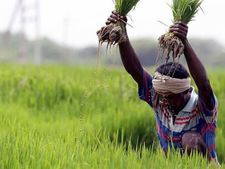 పిఎమ్ కిసాన్ పథకం కింద రైతులకు మరింత ప్రయోజనం.