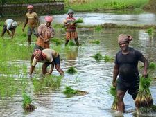 తెలంగాణ రైతులకు గుడ్ న్యూస్: రూ.6,900 కోట్లు విడుదల