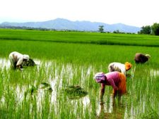 జగన్ కీలక నిర్ణయాలు, ఏడాదికి రూ.12,500 భరోసా, వివరాలివీ..