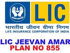 ఎల్ఐసీ సరికొత్త 'జీవన్ అమర్': అర్హత, పరిమితి, బెనిఫిట్స్.. పాలసీ పూర్తి వివరాలు