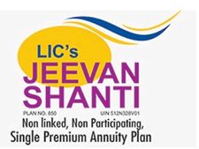 LIC pension plan: రూ.10 లక్షలతో వచ్చే నెల నుంచే ఆదాయం!