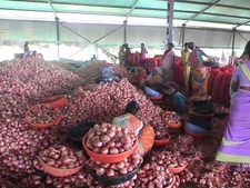 గుడ్‌న్యూస్: ప్రభుత్వం కీలక నిర్ణయం, రూ.30కి దిగొచ్చిన ఉల్లి ధర