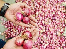 గుడ్‌న్యూస్: ఉల్లి ధరలు రూ.100కు పెరిగినా అక్కడ కిలో రూ.25కే!