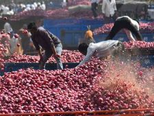 15 రోజుల్లో 126% పెరిగిన ఉల్లిధర, మరిన్ని రోజులు ఇదే పరిస్థితి ఉంటుందా?