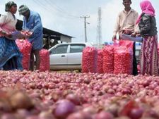 రూ.100 వరకు ఉల్లి ధర: లక్ష టన్నులు దిగుమతి చేసుకోవాలని నిర్ణయం